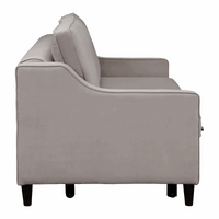 Velvet Fabric, Bed Opening Sofa